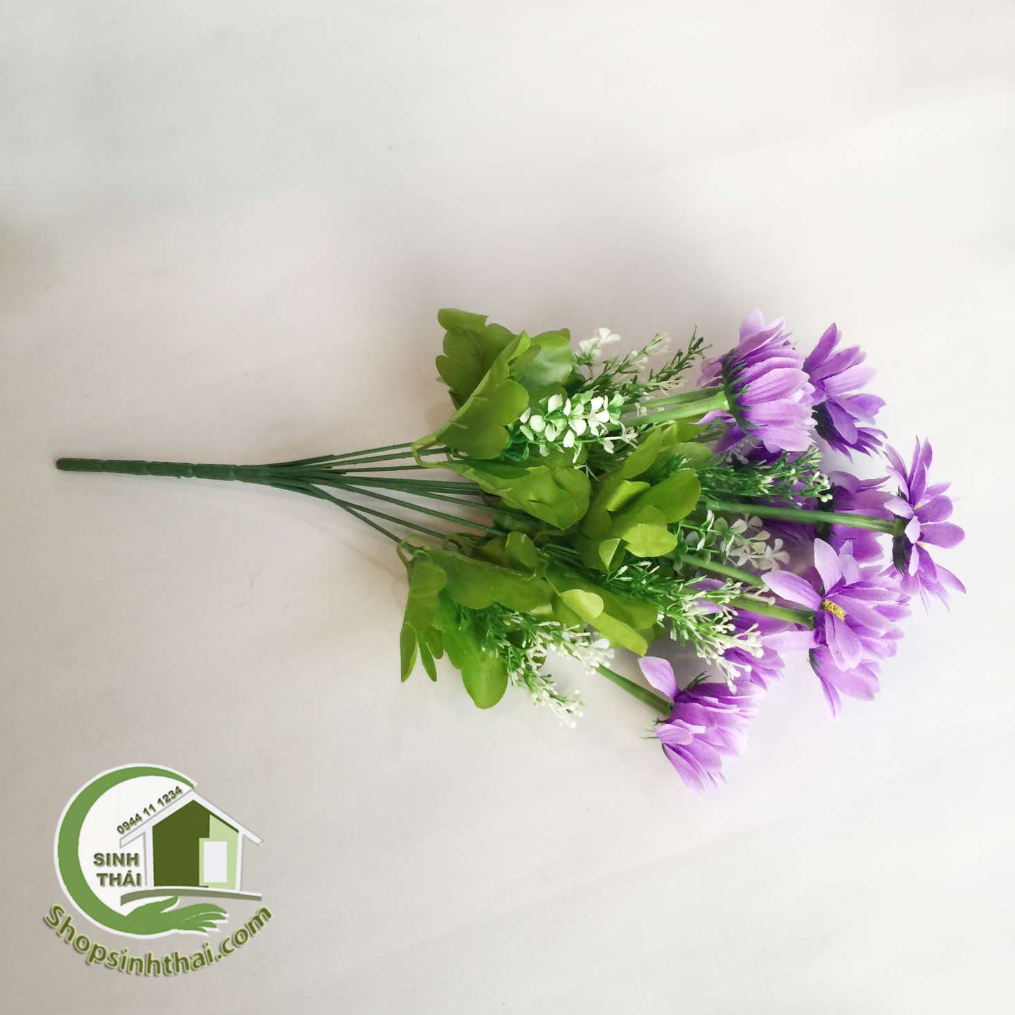 [HCM]Bụi hoa cúc thạch thảo màu tím - bụi cao 38cm
