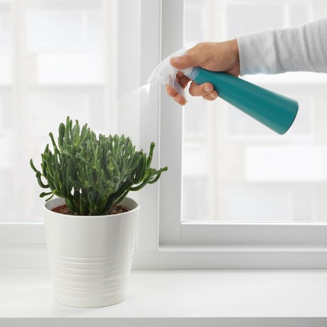 Bình Xịt Tưới Cây Tomat