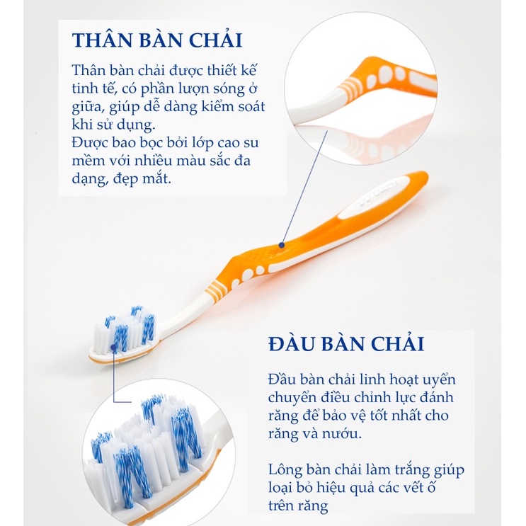 Vỉ 2 Bàn Chải Đánh Răng Trisa Flexible White Duo