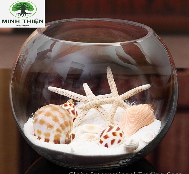 Bể Cá Thủy Tinh 13cm x 17cm - T11