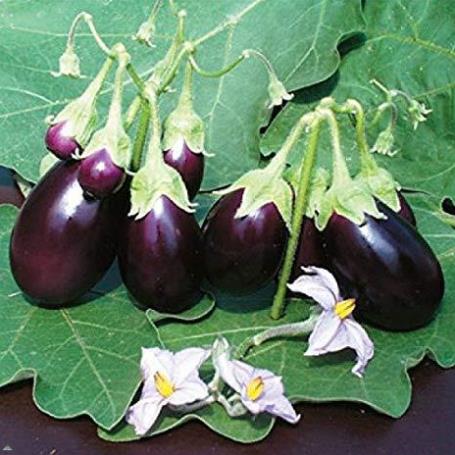 Phân DAP 1kg