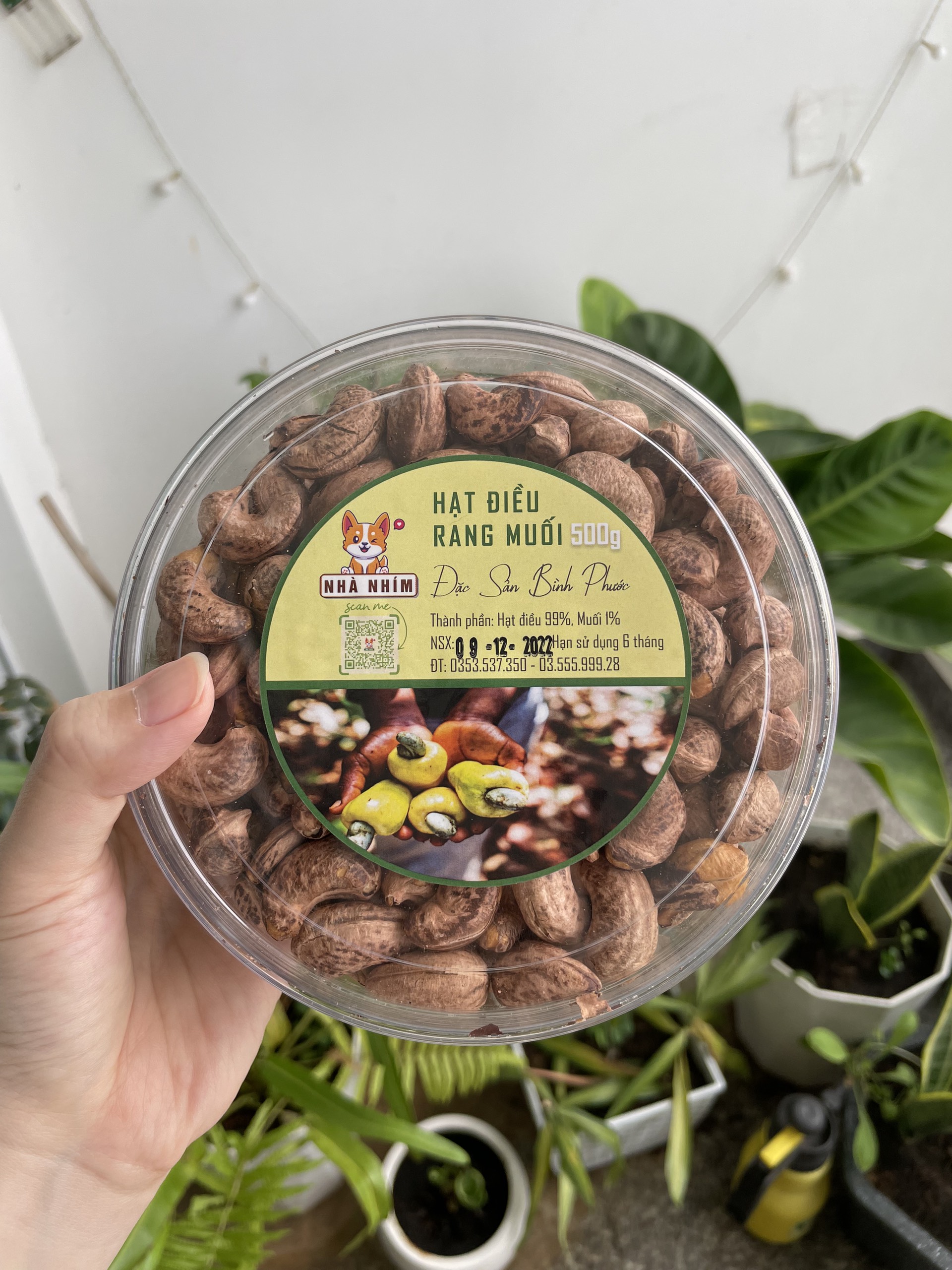 [500G] Hạt điều rang muối Bình Phước - đóng hộp