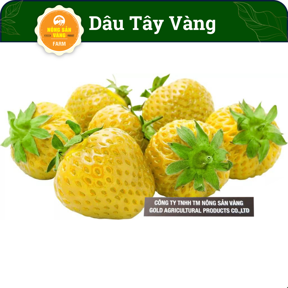 Strawberry Seeds, yellow shell and meat have yellow color, taste sweet, special aroma, giving many, perennial (pack 30 seeds)-shallow gold