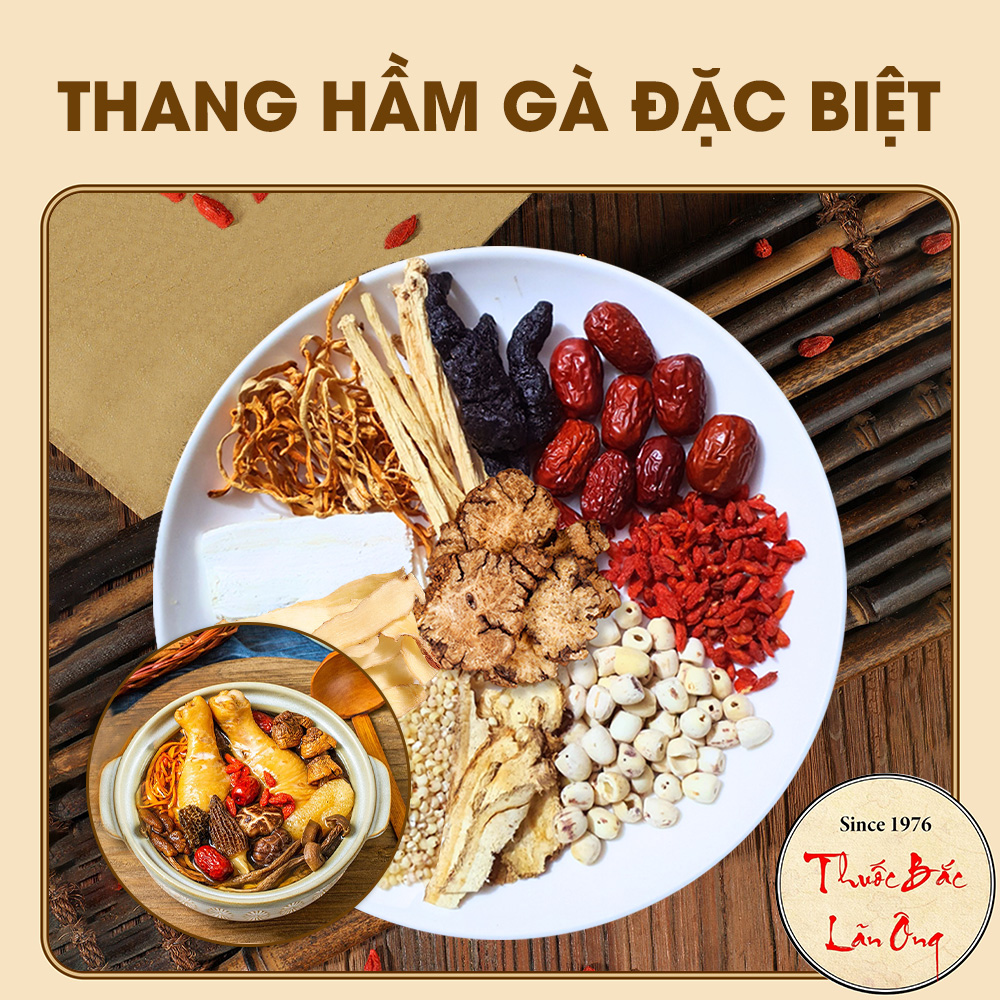 Thang tiềm gà (Hút chân không) - Gia vị hầm gà nấu canh dưỡng sinh bồi bổ sức khỏe