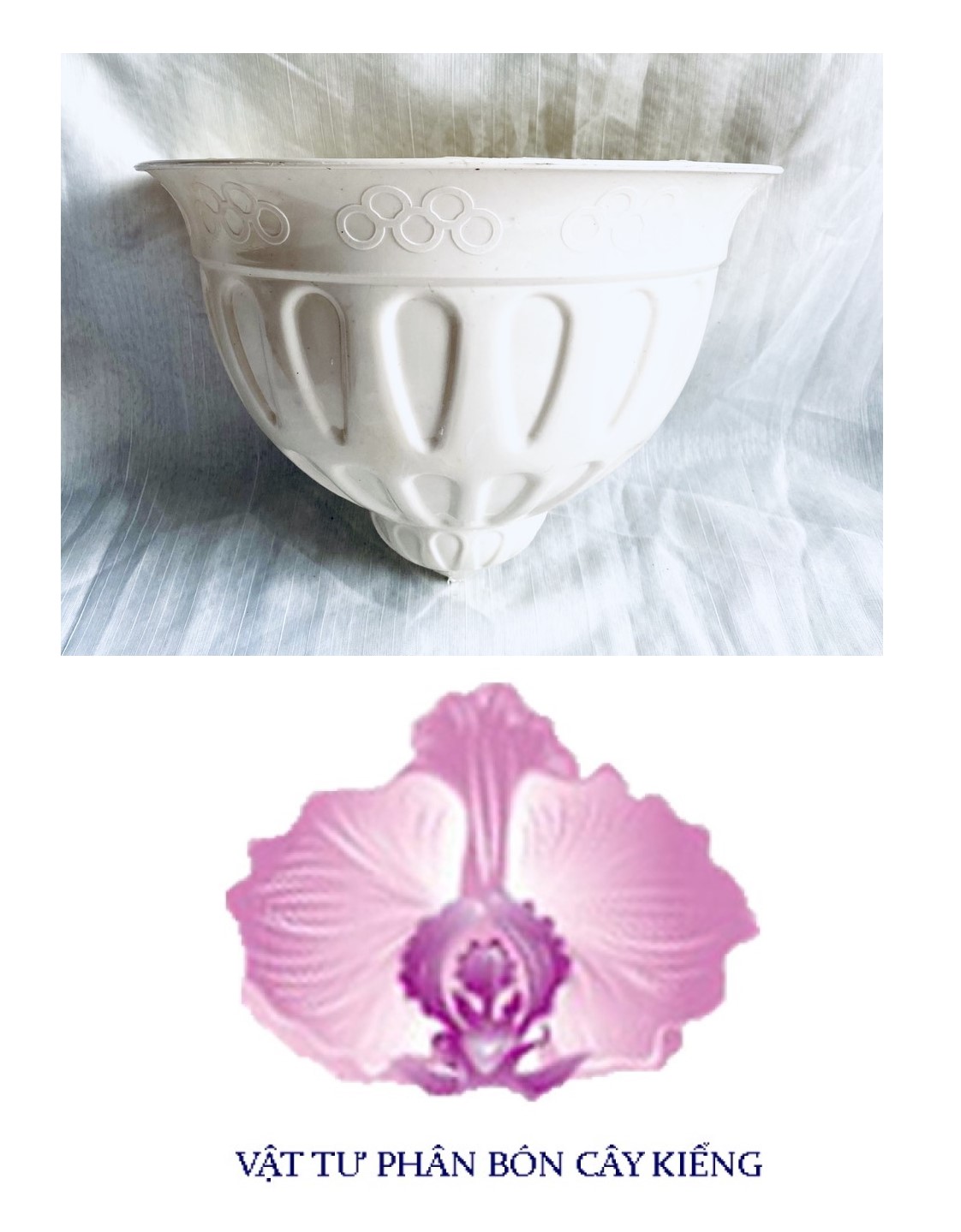 Chậu nhựa ốp tường sò 31x21cm - #819#