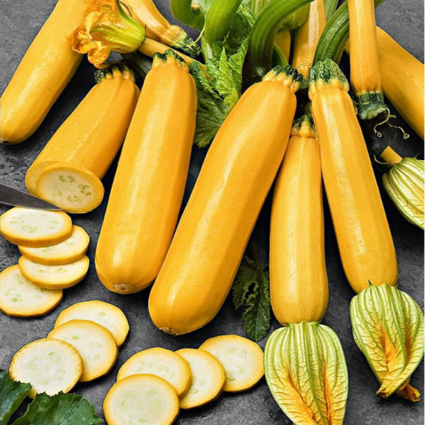 Hạt giống bí ngòi vàng Rạng Đông