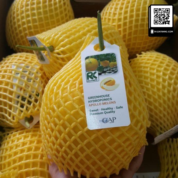 Hạt giống dưa lưới vàng