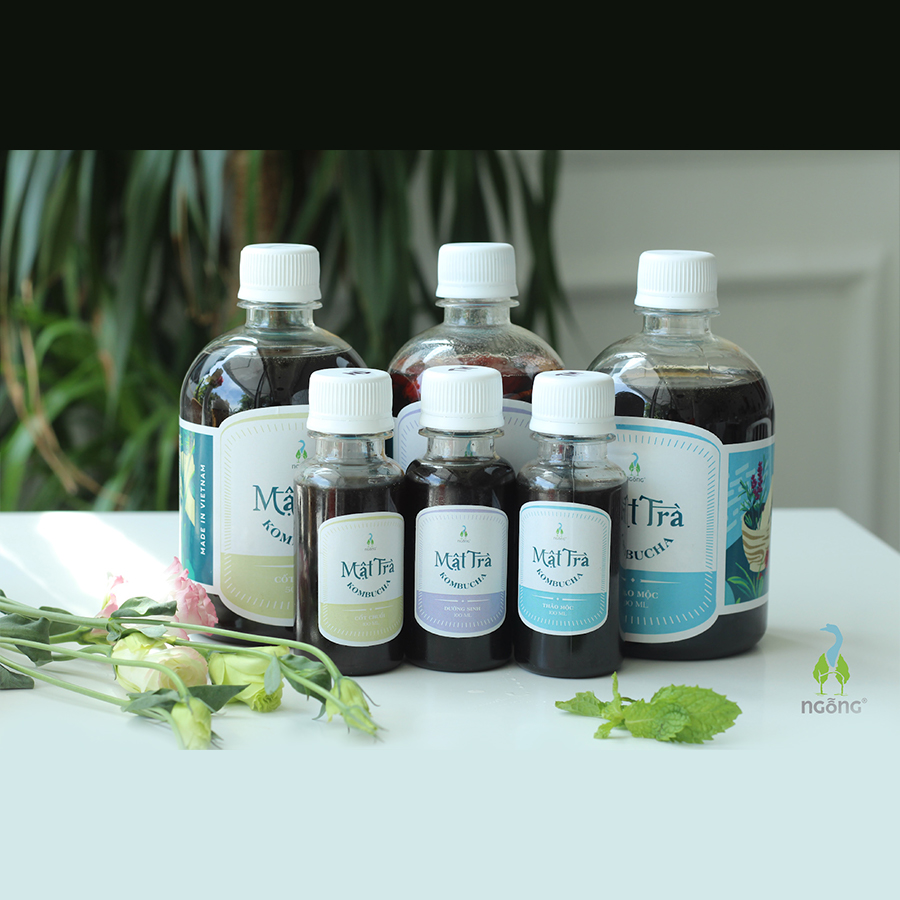 Mật trà kombucha (Ngỗng) | cốt chuối, thảo mộc, dưỡng sinh