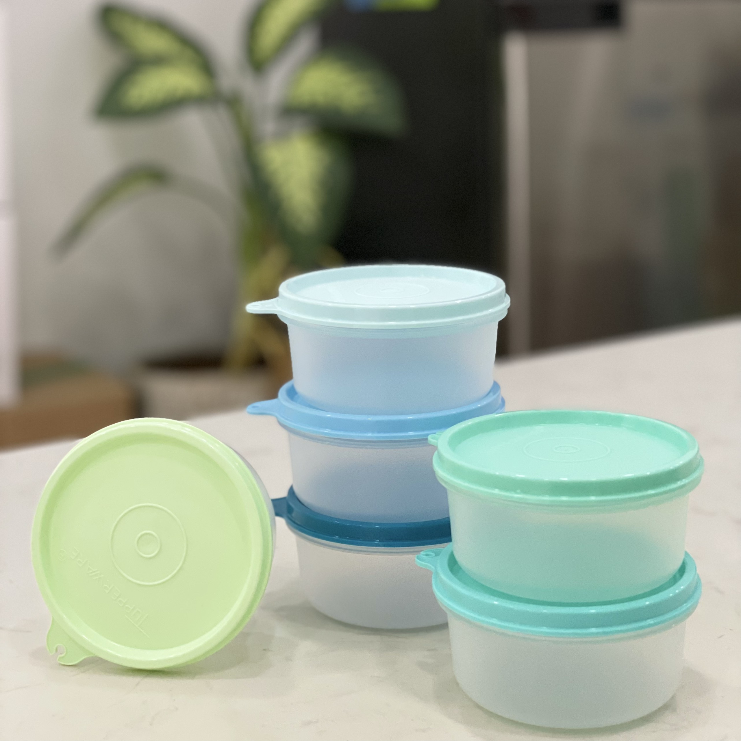 Hộp mát 200ml Colorful Small Server 200ml (6 Hộp) - Tupperware Mall Chợ Lớn