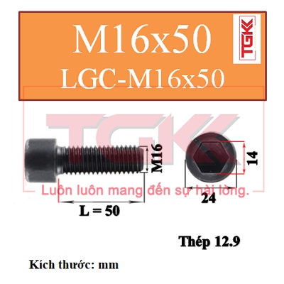 Bulong lgc đầu trụ m16