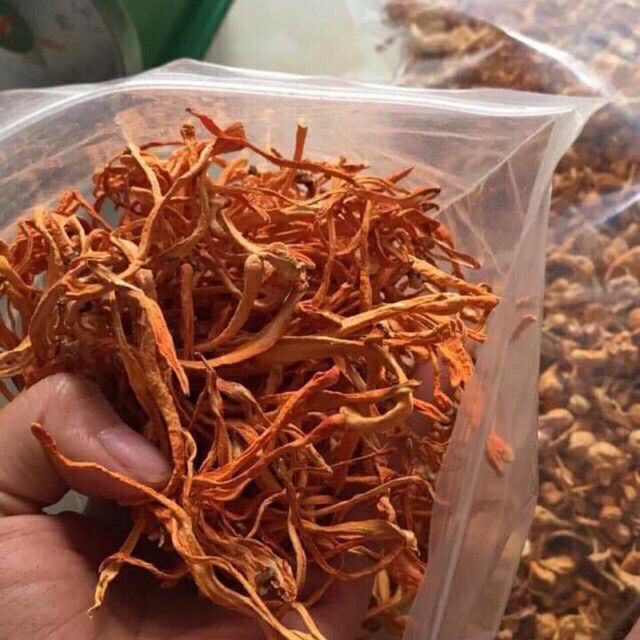 ĐÔNG TRÙNG HẠ THẢO XẤY KHÔ 100gr