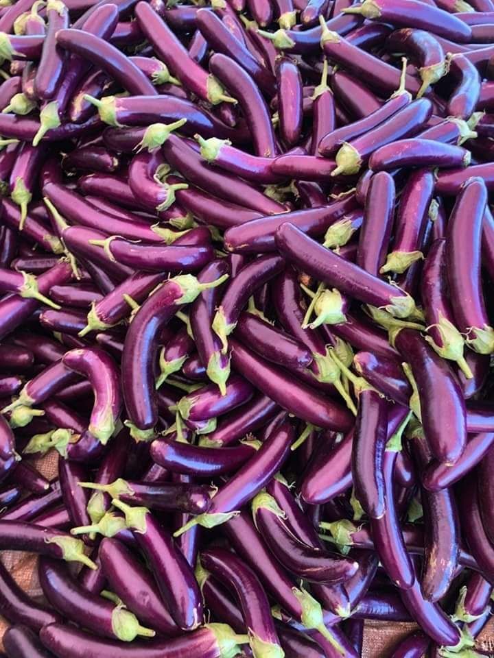 HẠT CÀ TÍM DÀI ( gói 1 gram)