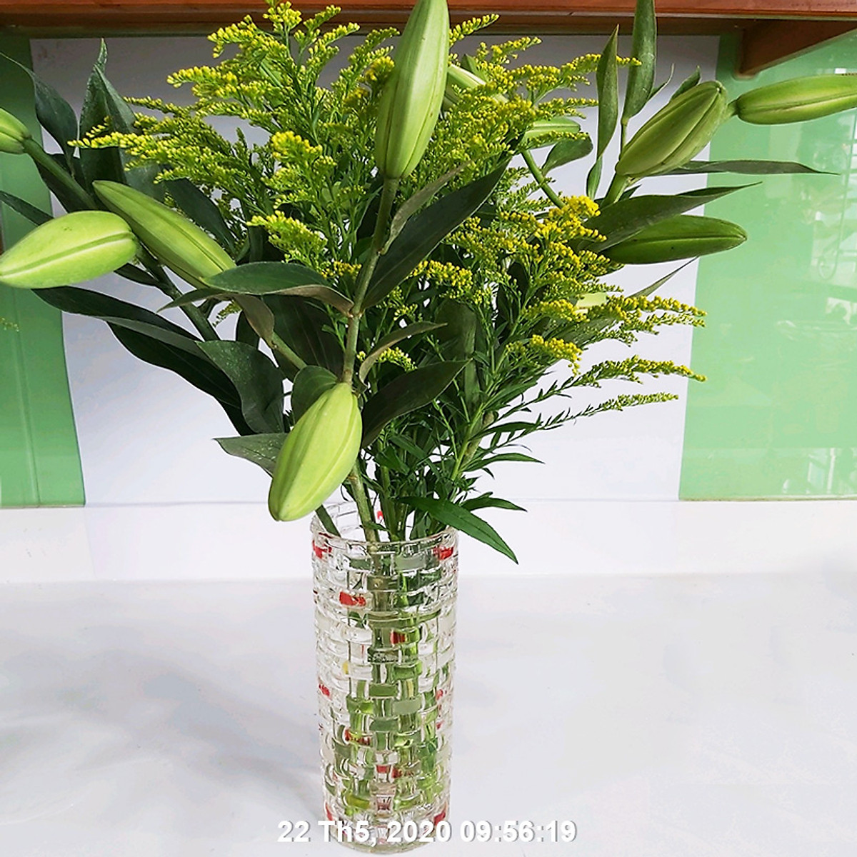 Longlife Food For Cut Flower