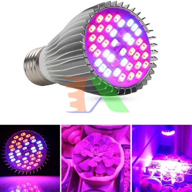 Led grow lights (30W, E27)