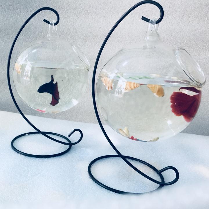 Combo 2 Bể cá mini treo C - Tặng phụ kiện