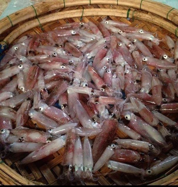 Mắm Cá Cơm Quảng Ngãi Nhà Làm Chuẩn Tươi Ngon (Mắm Mặn Chưa Trộn, 500G)