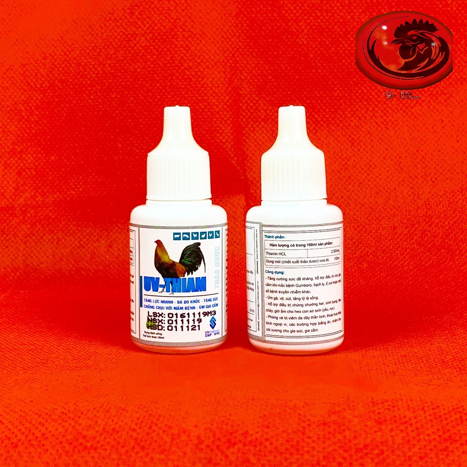 ÚM GÀ CON dạng nhỏ dành cho gà đá 1 LỌ 20ML