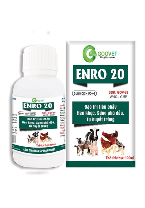 ENRO ONE