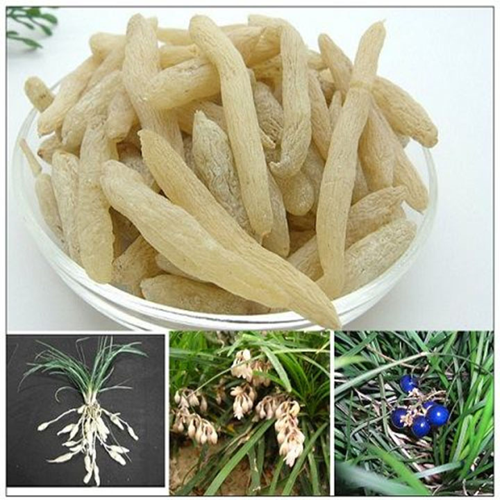 Củ mạch môn 1kg