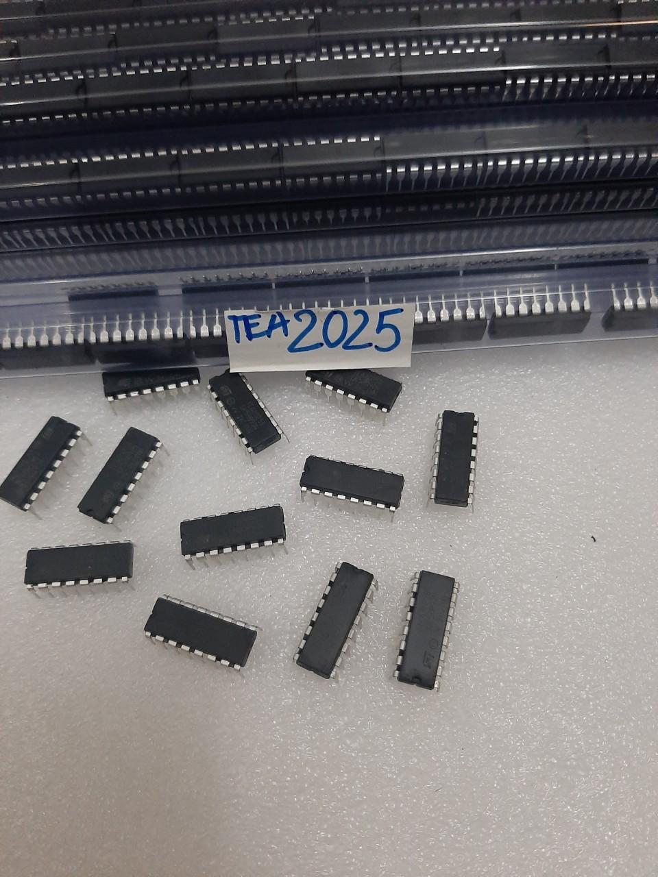 10 con TEA2025
