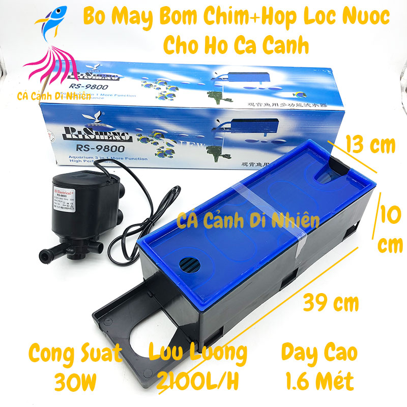 Máy bơm máng lọc RS 7800 kèm máng lọc dành cho hồ cá cảnh