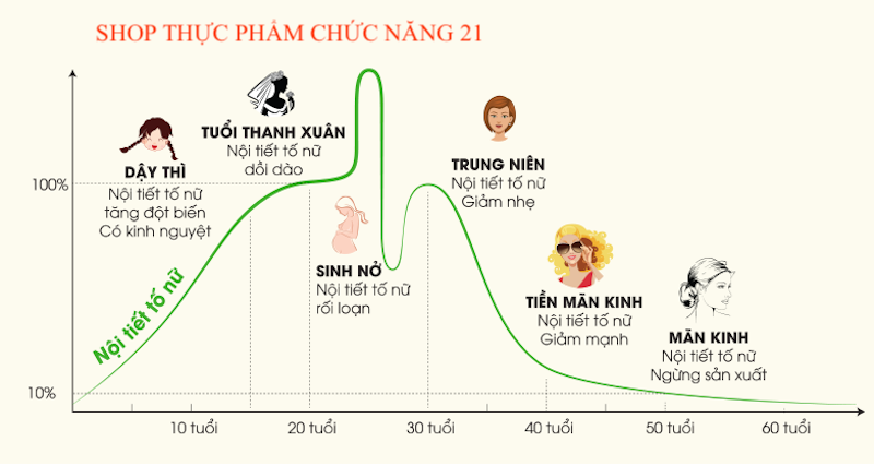 ESTROGEN E cân bằng nội tiết tố nữ.