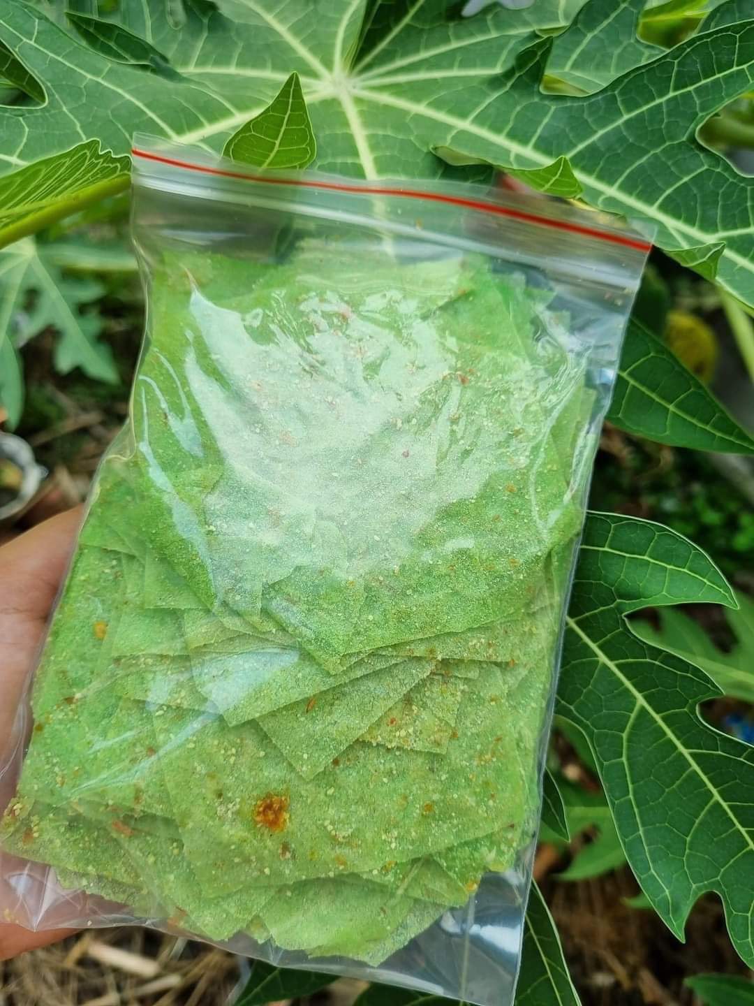 COMBO 10 BỊCH/5 BỊCH BÁNH TRÁNG PHÔ MAI LÁ DỨA