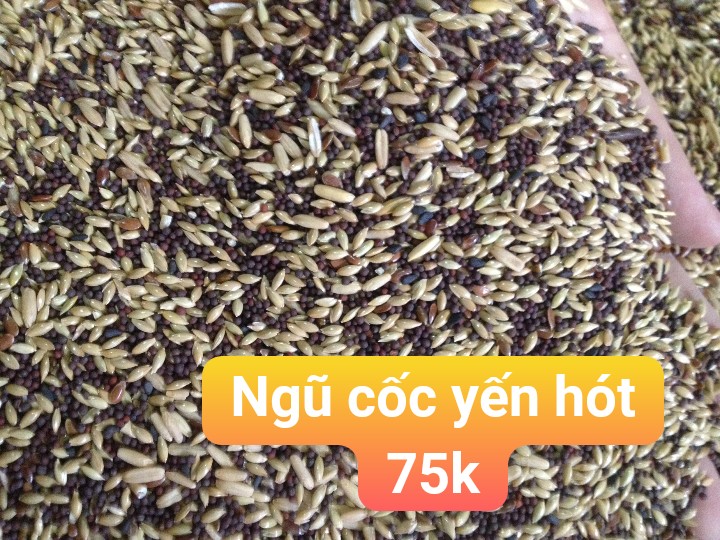 hạt trộn cho chim yến hót 1kg