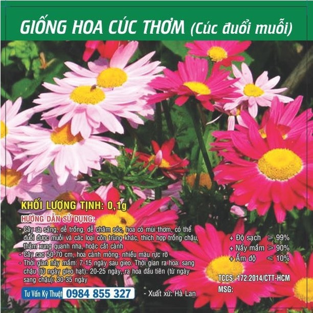 [SALE] Hạt giống hoa Cúc Thơm (Cúc Đuổi Muỗi) TN - HGVT1