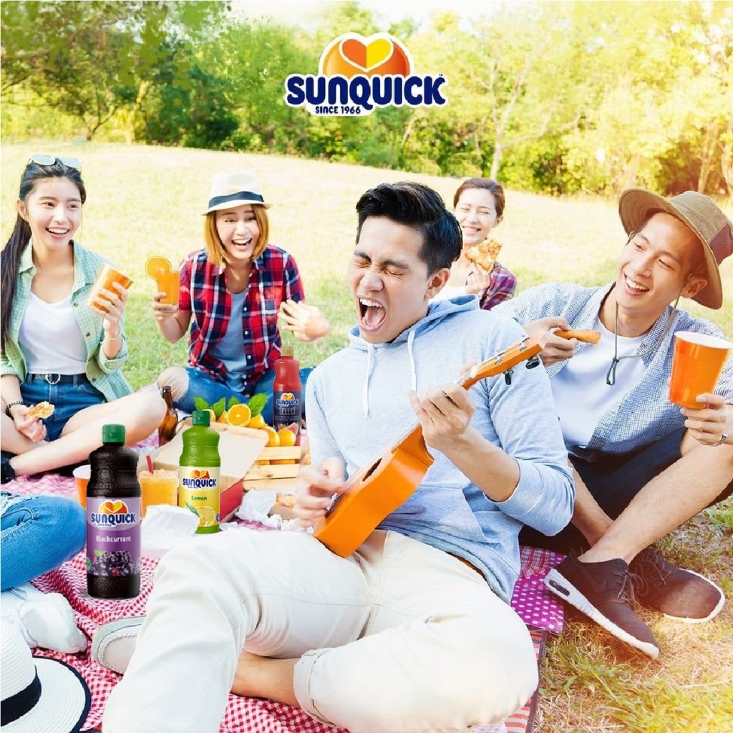 Nước ép trái cây lý chua đen Sunquick BlackCurrant Drink Concentrate 800ml