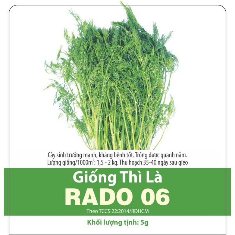 Hạt Giống Rau Thì Là Gói 5gr - RADO 06