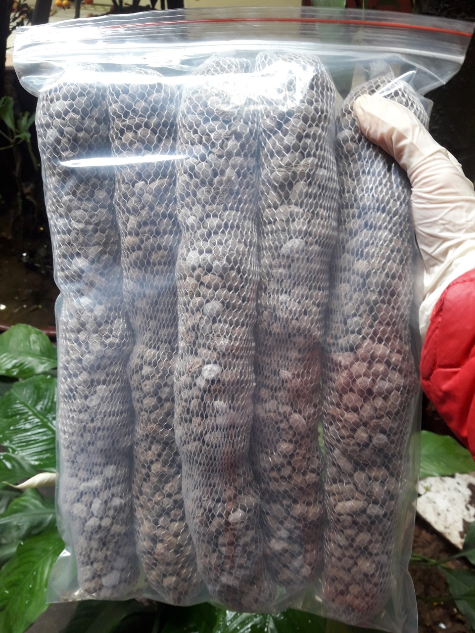 Combo 10 thanh phân dê 10cm BÓN LAN SIÊU TỐT
