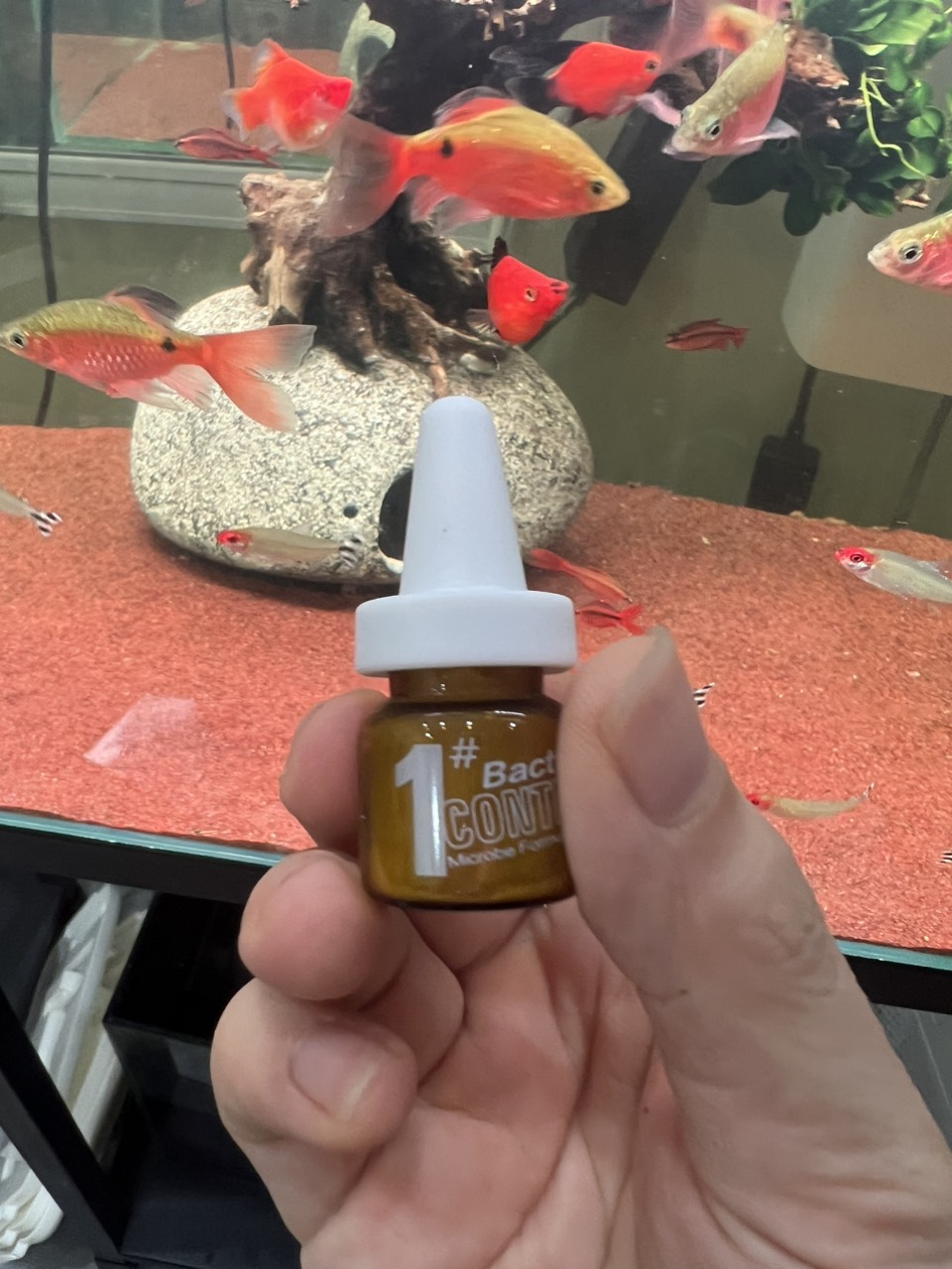 Biozym Bacteria Control - Thuốc trị bệnh cực mạnh cho cá cảnh , cá thủy sinh