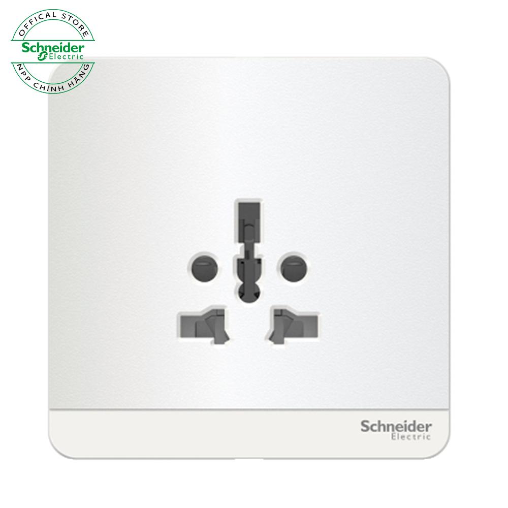 16A 250V 1 G  int'l Skt, WE