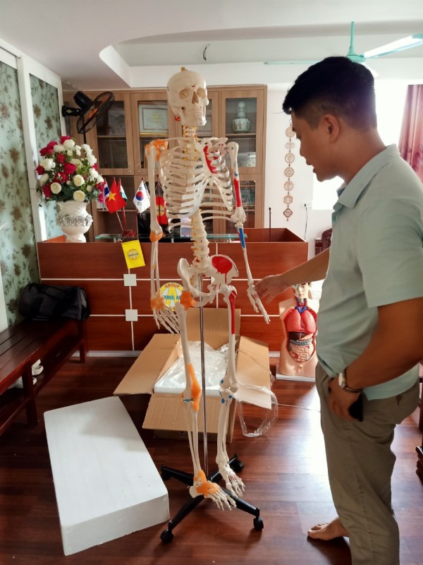 MÔ HÌNH GIẢI PHẪU XƯƠNG NGƯỜI ĐA NĂNG