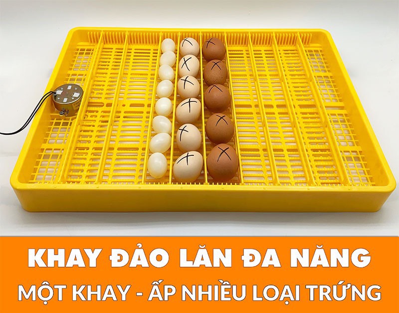 khay đảo trứng tự động