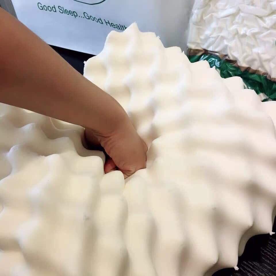 Gối cao su non thiên nhiên Ventry