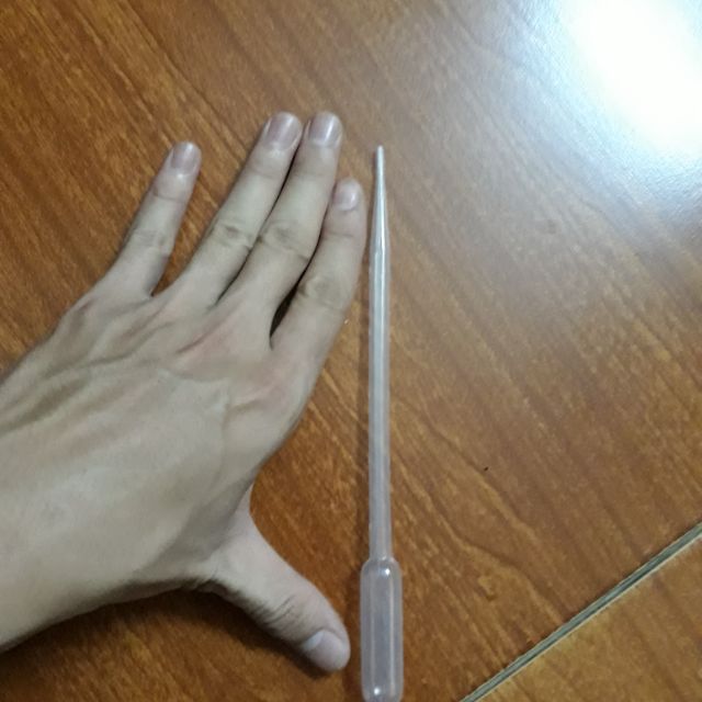 Ống Hút Artemia 3ml 5ml- Ống Hút Cho Ăn Artemia