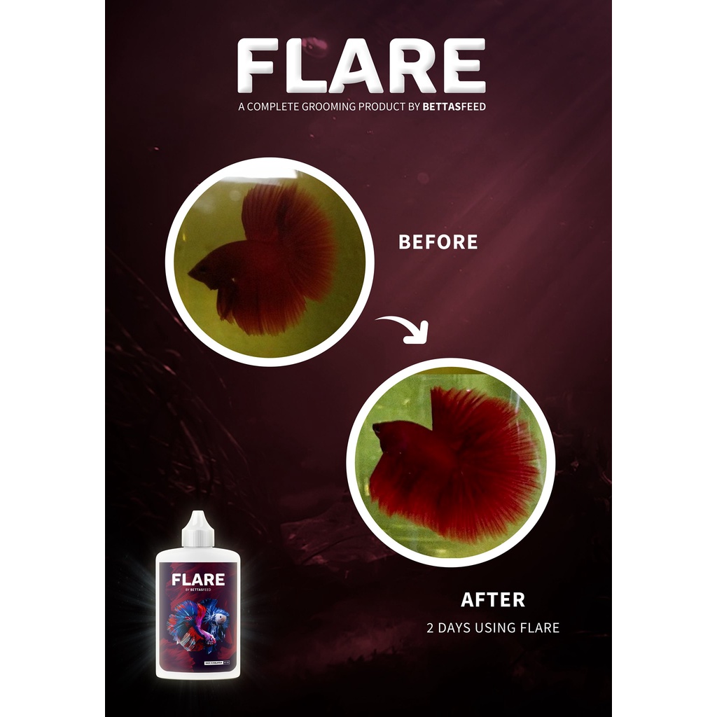 FLARE - T.h.uốc dành cho ép cá Betta