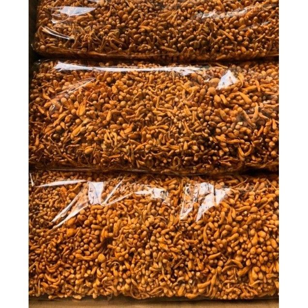 100g ĐÔNG TRÙNG HẠ THẢO SẤY KHÔ