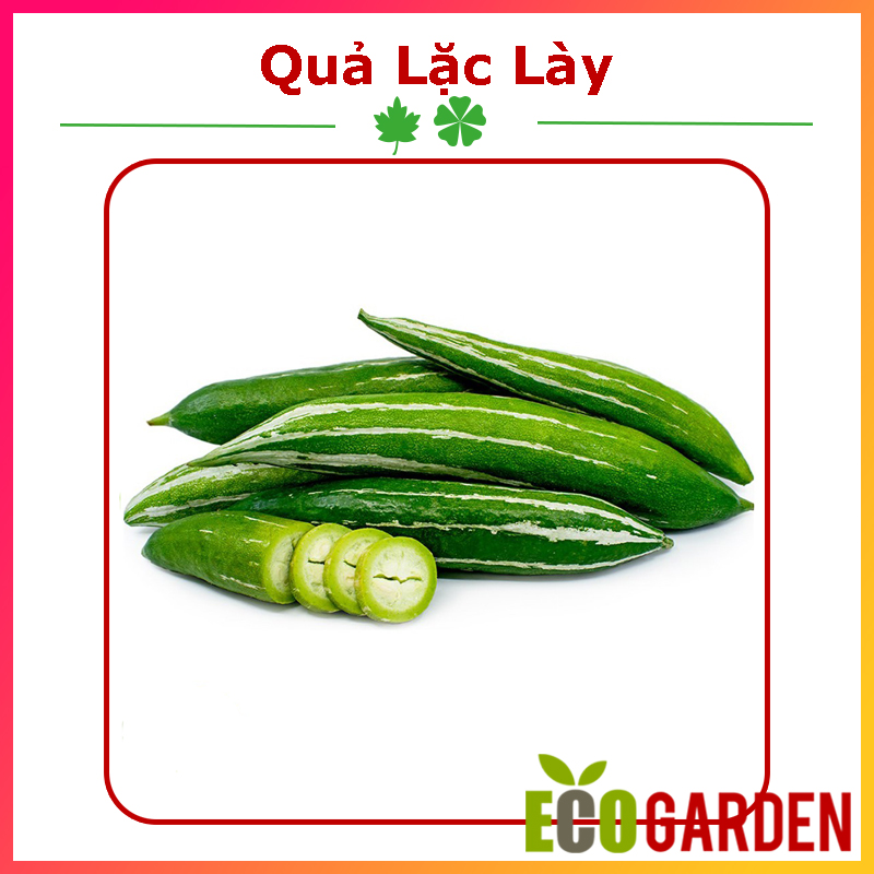 Hạt giống lặc lày lai f1