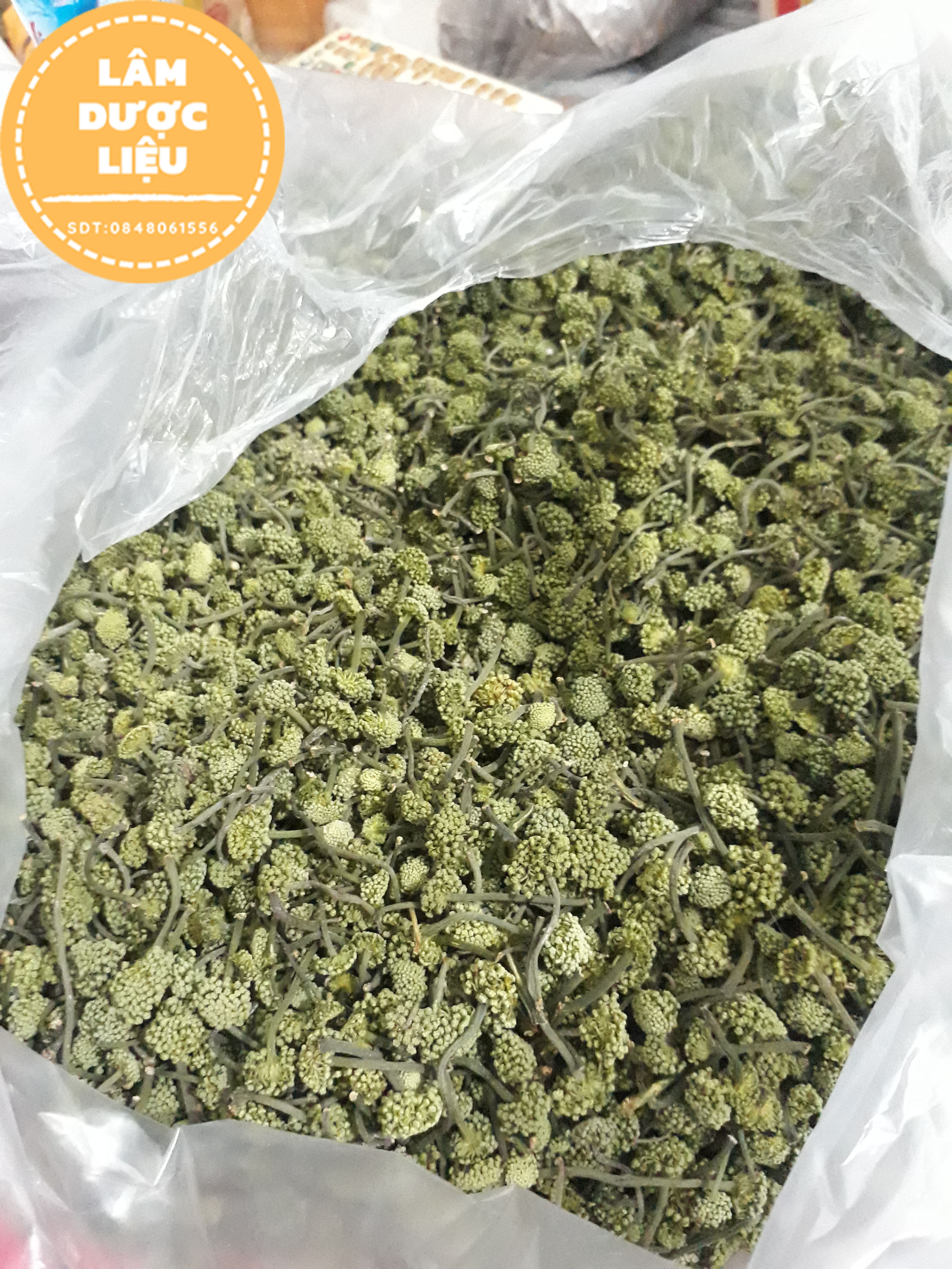 100gr Trà  Nụ Hoa Tam Thất Khô