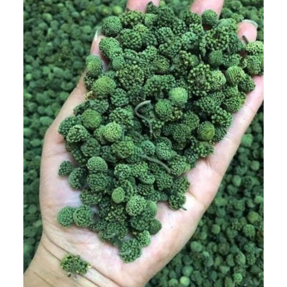 Nụ hoa tam thất sấy khô 500gr GT304