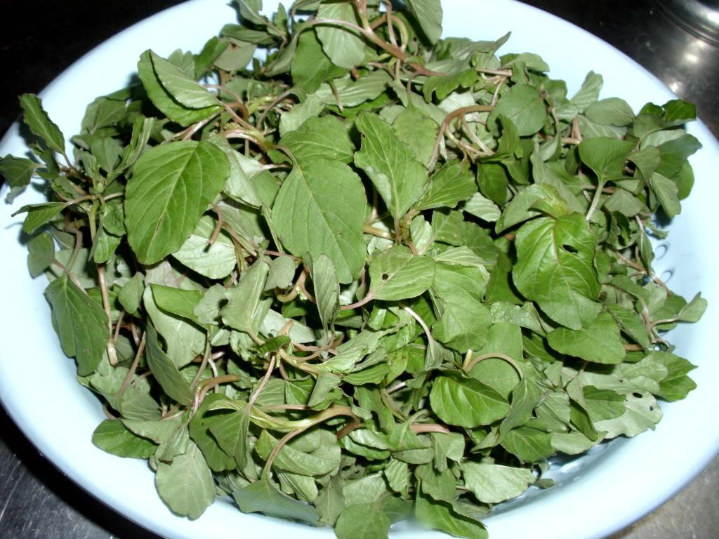 [HCM]Gói 10gr hạt giống rau dền cơm