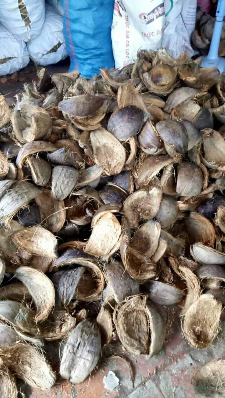 Vỏ dừa khô trồng lan 1kg