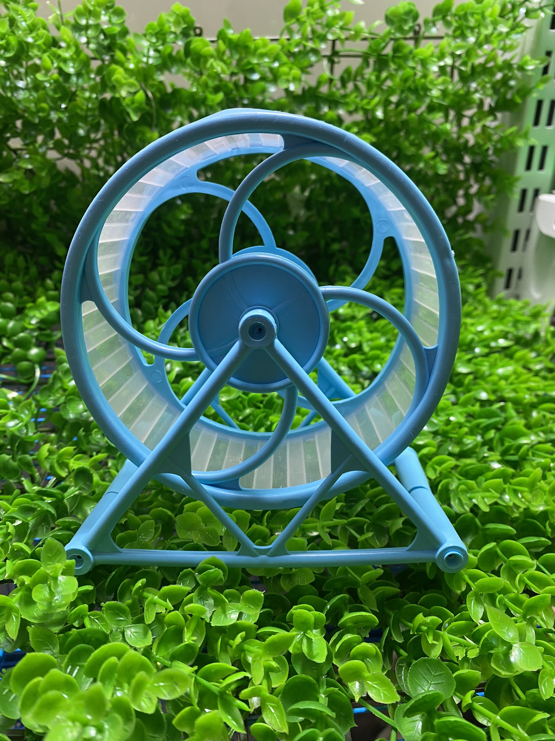 Wheel nhựa lớn, nhỏ cho hamster