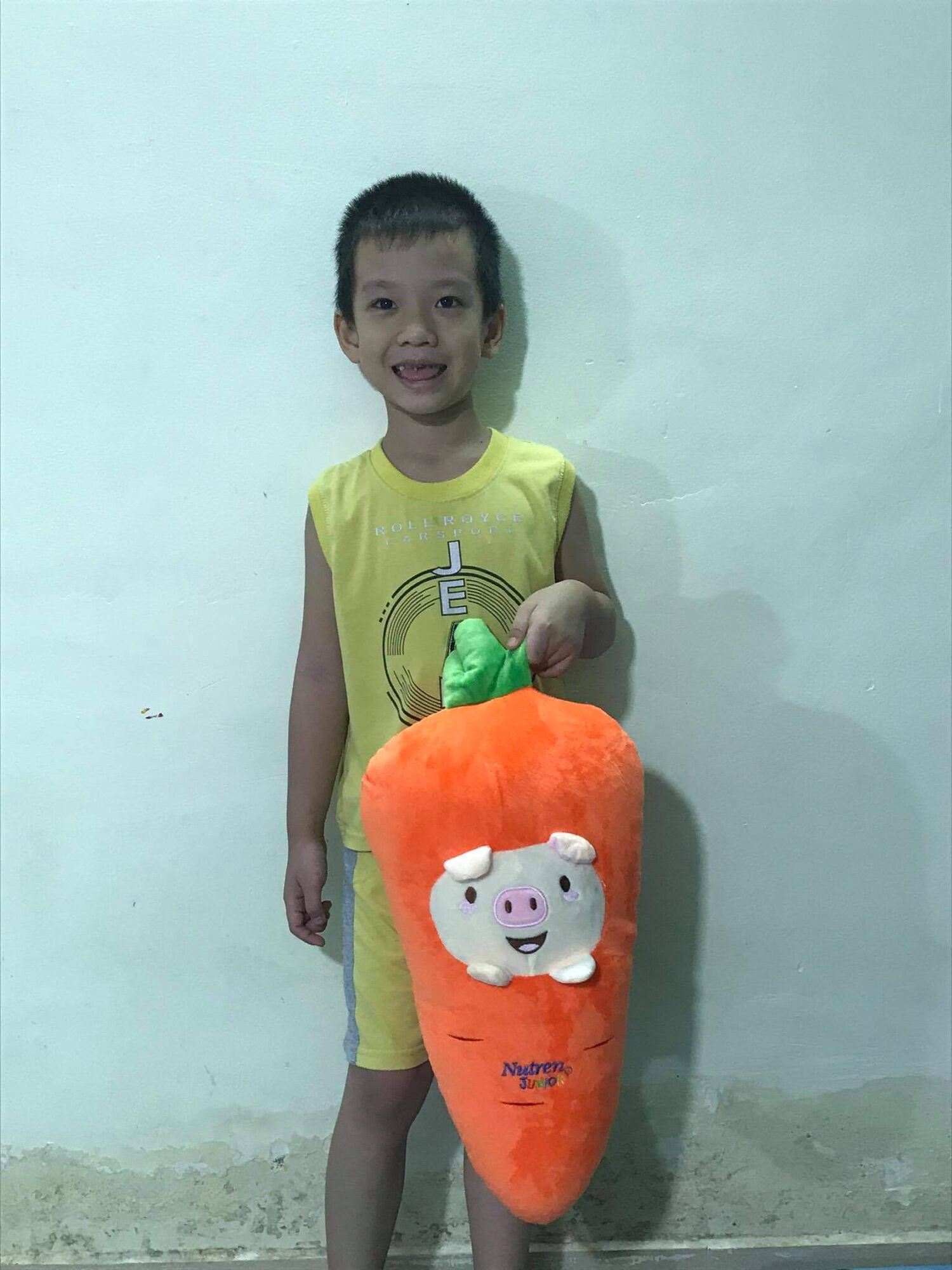 [HCM]Gối ôm cà rốt Nutren cho bé