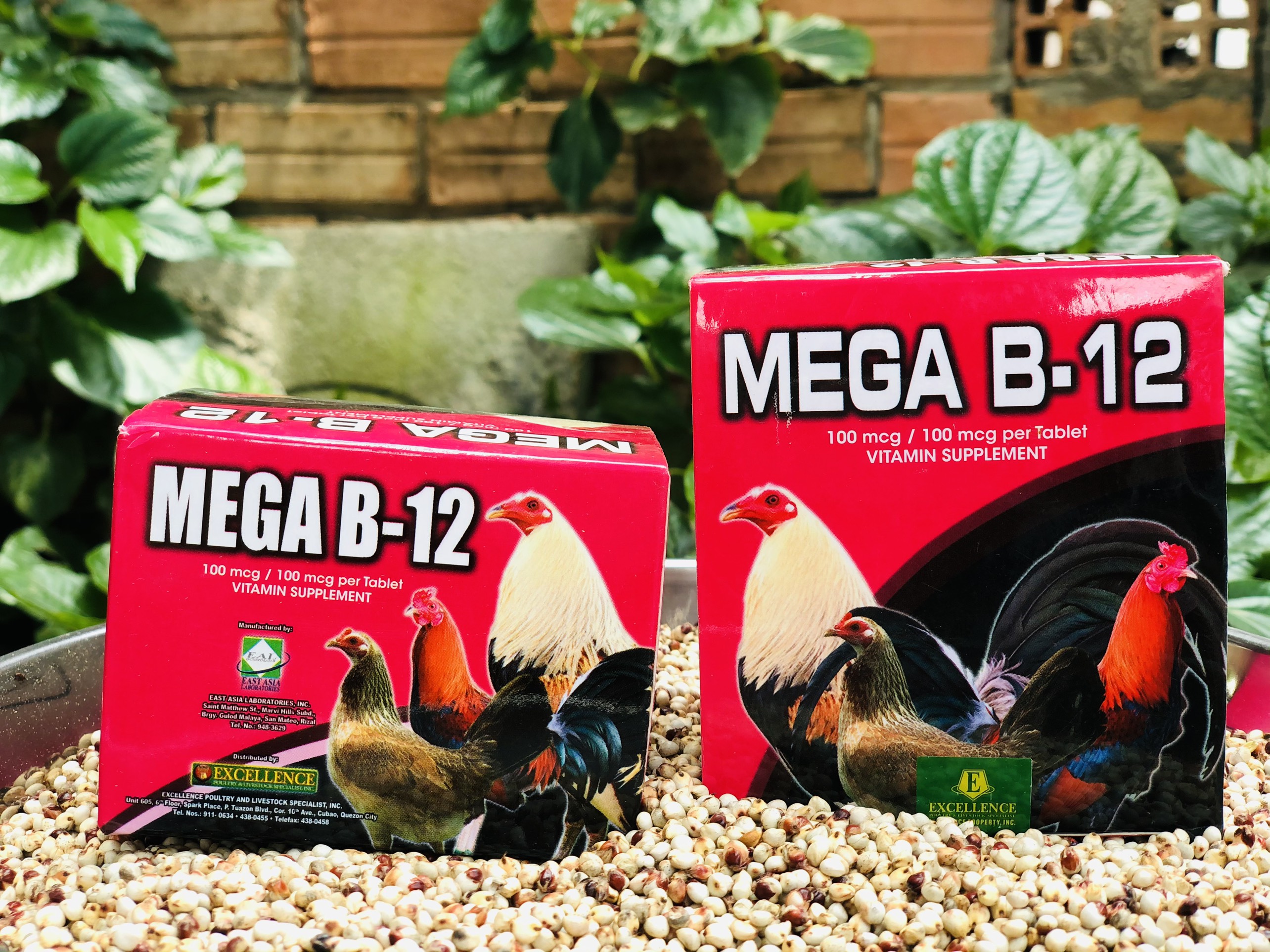Mega B12 dinh dưỡng cho gà đá