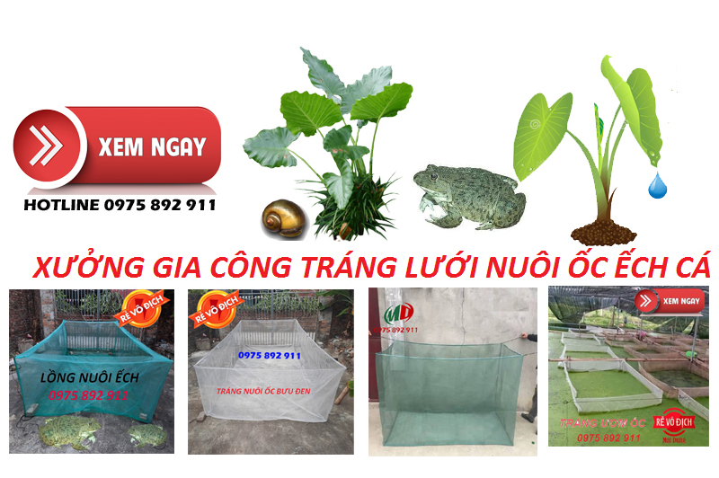 Tráng vèo lồng nuôi ốc , ếch ,cá - loại 10x5x1,3
