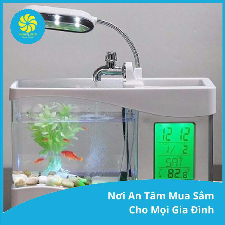 Bể cá mini để bàn - bể cá mini 2
